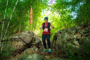 BIB: 
                            <button type="button" onclick="openModal(22087674)" class="btn btn-primary btn-sm float-right btn-popup" data-toggle="modal" data-target=".modal-high-quality">
                        <i class="fas fa-shopping-cart"></i> Add to Cart
                    </button>
                                            <button type="button" onclick="isThisMe(22087674, true)" class="btn btn-success btn-sm float-right btn-popup btn-isme hidden" data-toggle="tooltip" data-placement="bottom" title="นี่คือรูปของคุณใช่ไหม คลิกที่นี่เพื่อเอาเข้าอัลบั้ม">
                        <i class="fas fa-plus"></i> Add to album
                    </button>
                    <button type="button" onclick="isThisMe(22087674, false)" class="btn btn-warning btn-sm float-right btn-popup btn-isnotme hidden">
                        <i class="fas fa-ban"></i> Remove from album
                    </button>